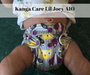 Kanga Care Lil Joey AIO