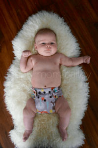 Newborn AIO Cloth Diapers at 12 Pounds blueberry