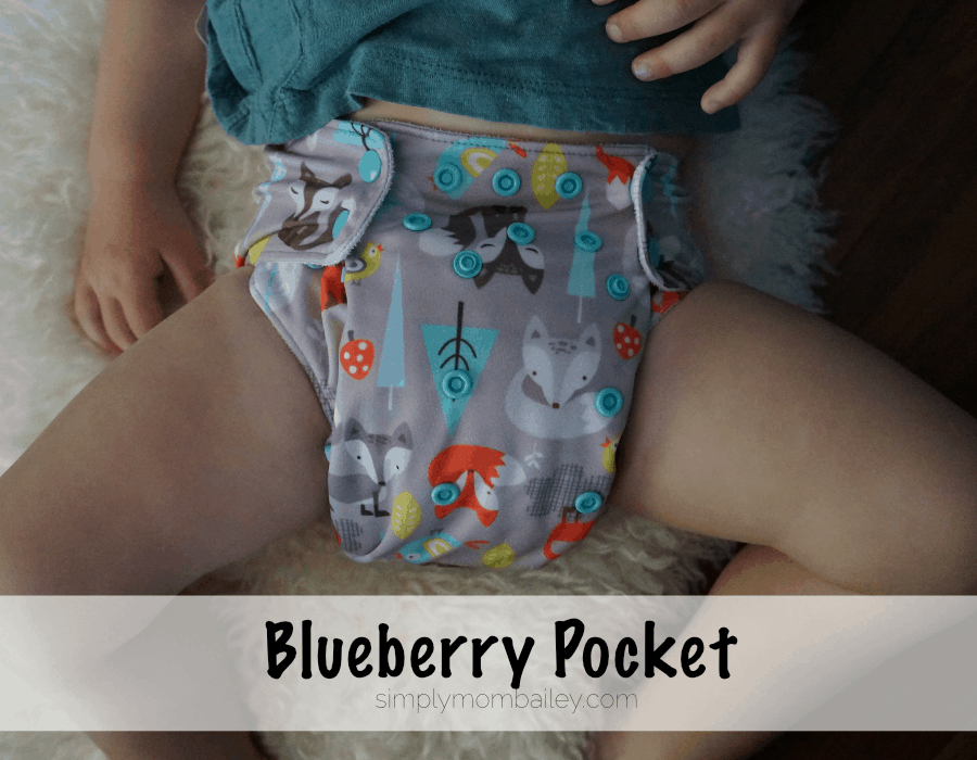 Cloth Diapers at 30 pounds - Pockets & Covers