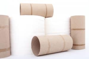 Toilet Paper Roll are bad on the environment. Toilet paper isn't eco-friendly