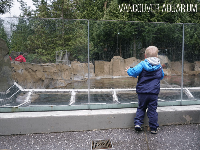 Vancouver Aquarium with Toddlers