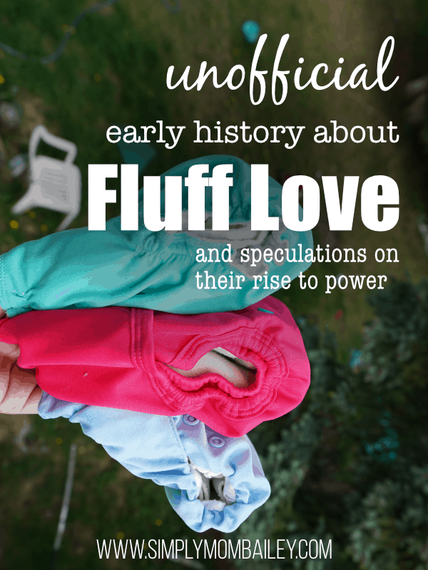 Fluff Love University HIstory & Rise to Power in the Cloth Diaper Community #laundry #clothdiaper #washroutine #crunchymom
