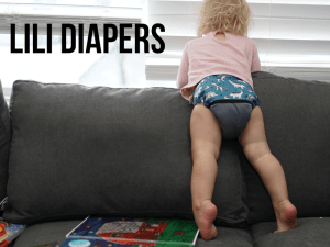 Canadian Made Pocket Cloth Diaper by WAHM in Quebec
