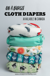 Budget Cloth Diapers in Canada